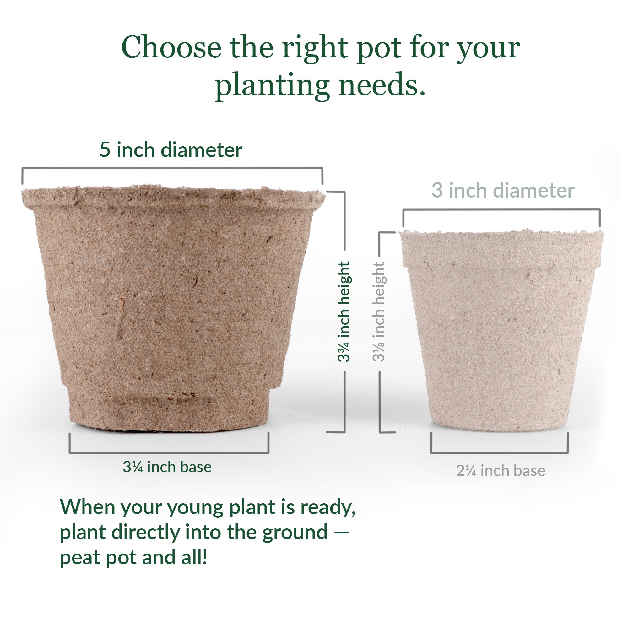 Two peat pots with measurements on a white background
